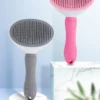 Self-cleaning Comb