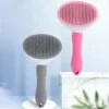 Self-cleaning Comb