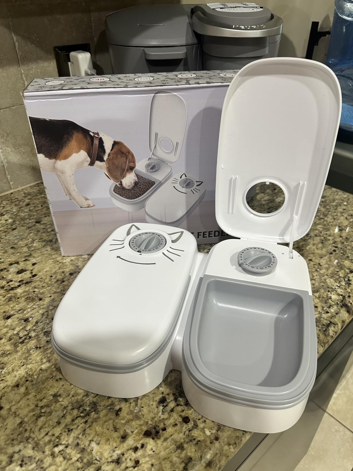 Two dogs eating peacefully